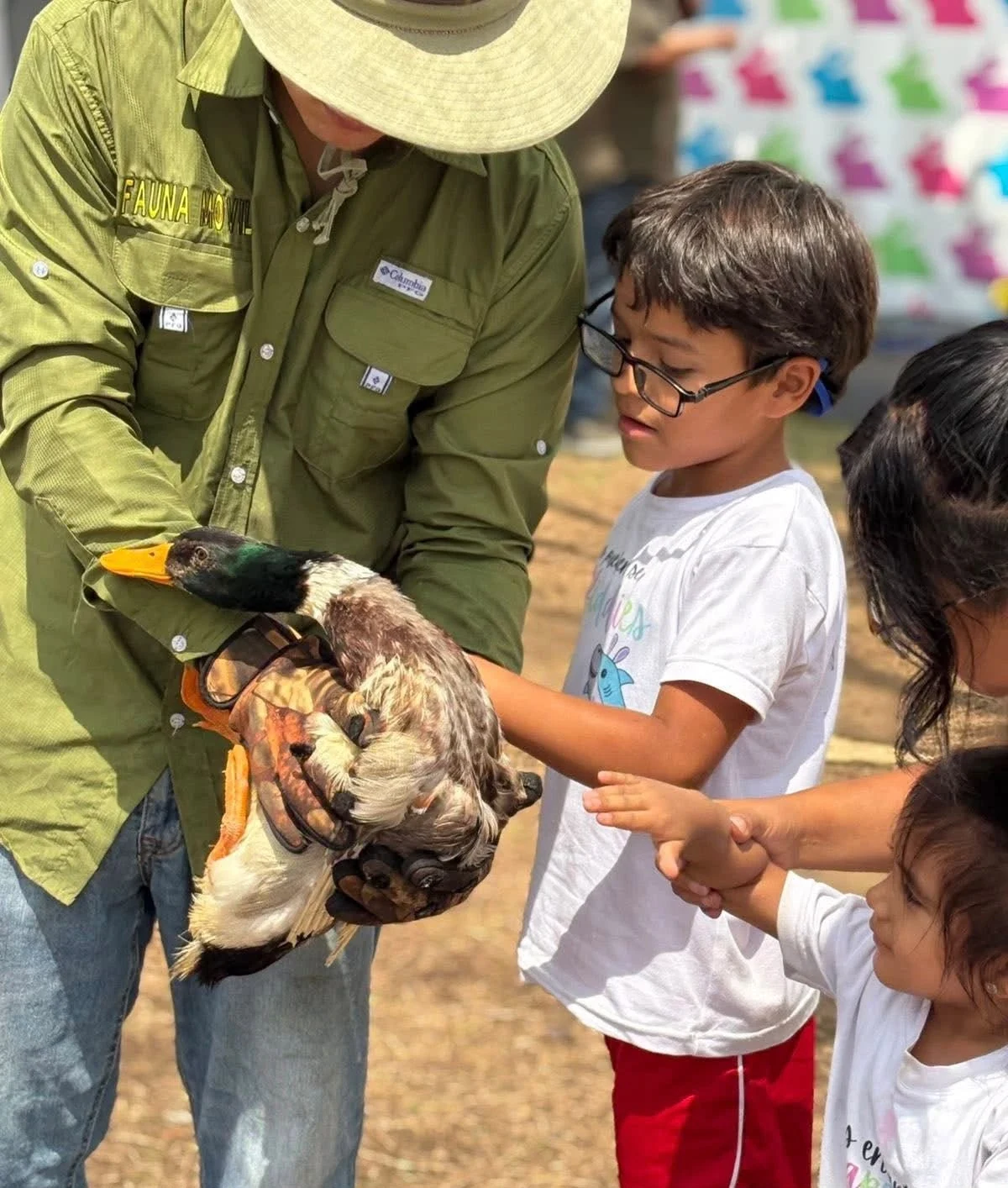 Niño de Kiddies Club acariciando un pato que sostiene un guía de la granja móvil