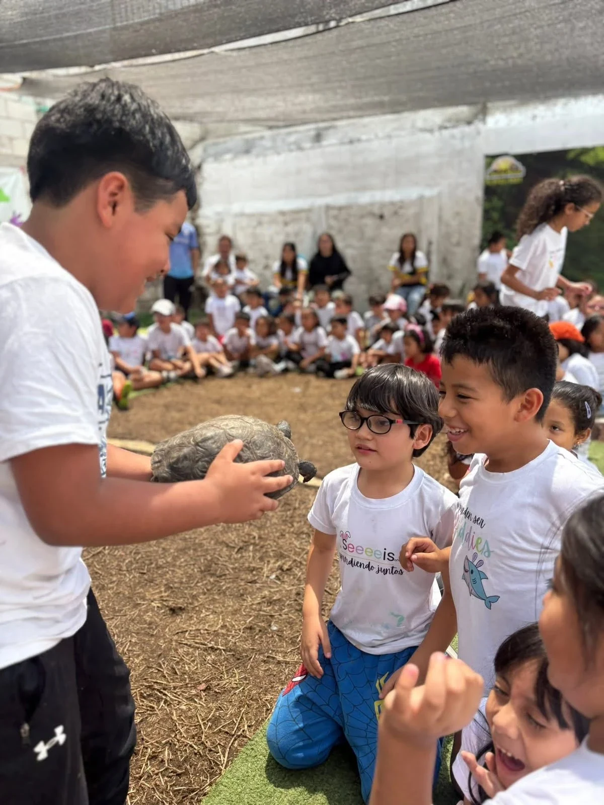 Alumnos de Kiddies Club sonriendo mientras un compañero les muestra una tortuga en la granja móvil
